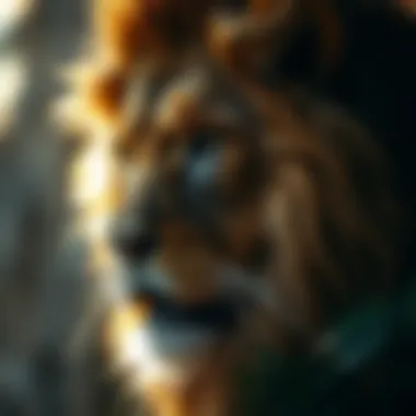 Leo enhancing relationships through understanding