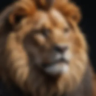 Exploring Leo Personality Traits Illustration of Leo personality traits