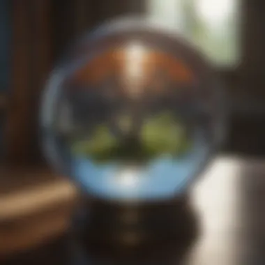 Insightful Reflections Through a Crystal Ball Crystal ball reflecting inner thoughts