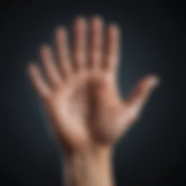 The Interplay of Palmistry and Astrology Diagram connecting palmistry to astrology and personality traits