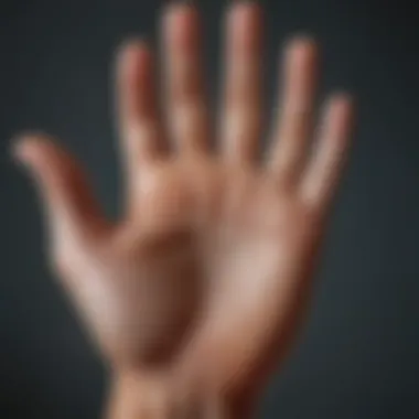 Understanding Major Lines in Palmistry Detailed illustration of major lines in palmistry