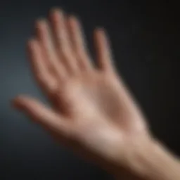 An artistic illustration showcasing the major lines of palmistry.