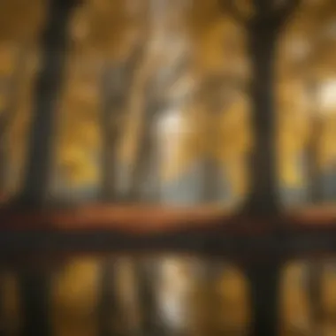 A serene landscape showcasing trees reflecting personal transformation