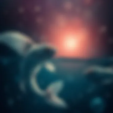 Pisces Compatibility with Other Signs Artistic depiction of Pisces compatibility with other zodiac signs