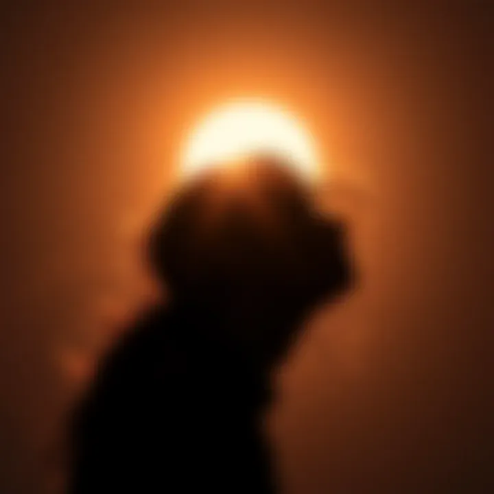 Rising Sign: A New Dawn in Your Astrological Profile Artistic representation of the rising sun symbolizing new beginnings