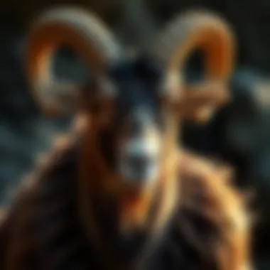 Visual representation of Capricorn, epitomizing ambition and determination with its mountain goat imagery.