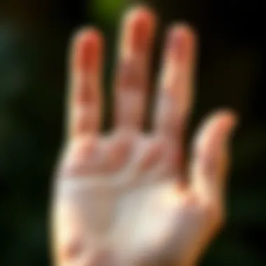 Diagram showcasing major lines on a palm