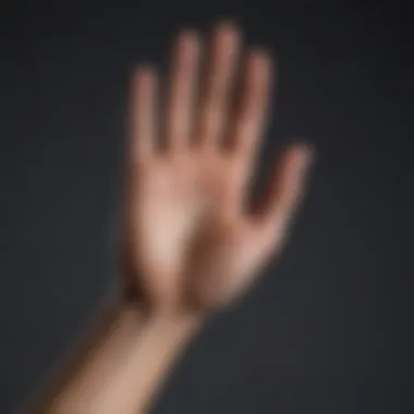 Artistic Hand Shapes An artistic representation of different hand shapes associated with palmistry.
