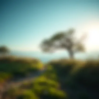 A serene landscape representing personal growth