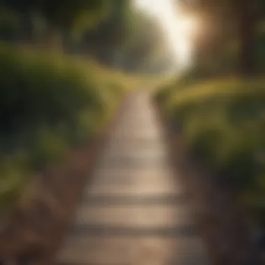 Path Numbers and Personal Development A serene landscape symbolizing personal growth and self-discovery