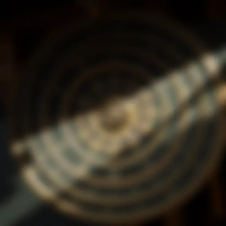 Astrological wheel representing rising sign dynamics